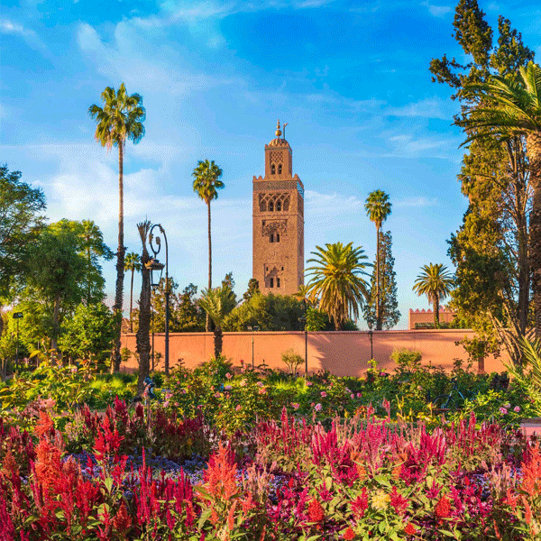 Marrakech Tour Package